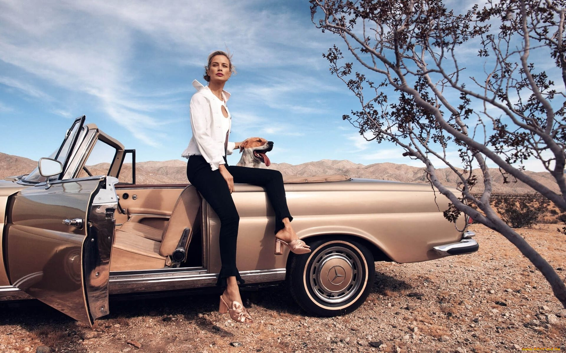 Обои Carolyn Murphy Автомобили -Авто с девушками, обои для рабочего стола,  фотографии carolyn murphy, автомобили, -авто с девушками, женщина, в, машине,  сarolyn, murphy, американская, модель, фотосессия, собака, пустыня,  кабриолет Обои для рабочего